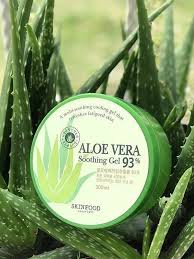 Sm-ALOE VERA 93% SOOTHING GEL