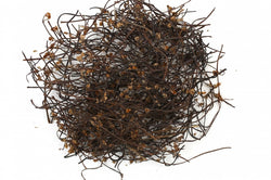GOSARI 100G (고사리)